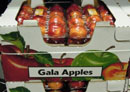 newly-packed-fresh-apples,-Washington-State