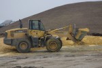 Bulk Cattle Feeding