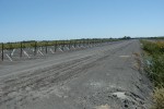 California vineyards