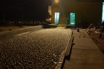 Citrus processing at night - Argentina