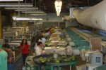 Packing Hawaiian Papayas